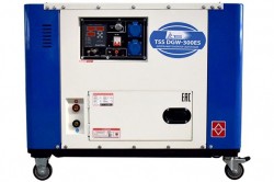 Дизельный сварочный генератор TSS DGW-300ES